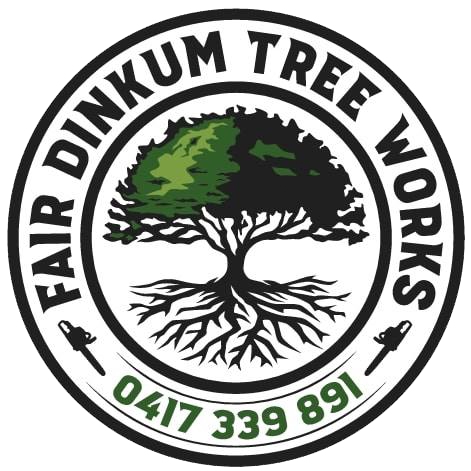 Arborist, Tree Removal and Lopping Service – Fair Dinkum Tree Works